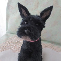 黒シュナももこさま専用 黒シュナももこさま専用 黒シュナももこさま専用