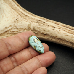 11,8ct Sonoran Gold Turquoise ソノランゴールド ターコイズ SON-01 メキシコ ルース 8枚目の画像