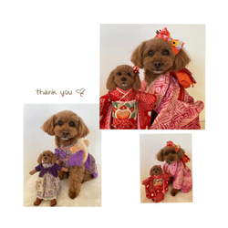 【受注制作】おめかしわんこドール『うちの子オーダー』愛犬の着せ替え人形(mii._.wool) 7枚目の画像