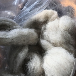 手紡ぎ手織りショートマフラー【ホームスパン・黄】受注生産　防寒♪♪ 7枚目の画像