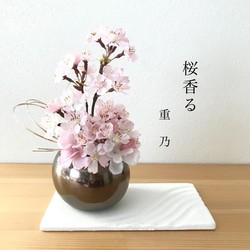 【訳あり　ラスト1点！】creema限定  桜〜sansui 1枚目の画像