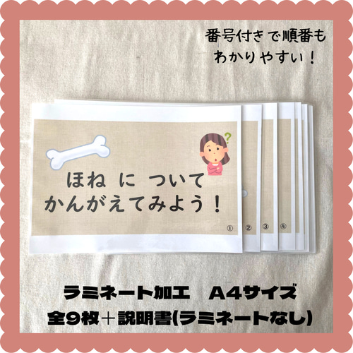 保育教材 骨ついてのお話 保育園での保健指導・健康教育 すぐに使える