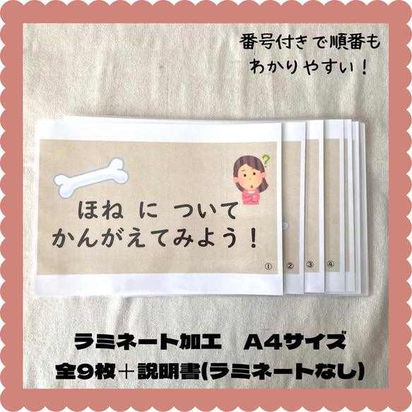 保育教材　骨ついてのお話　保育園での保健指導・健康教育　すぐに使える紙芝居形式　ラミネート加工済み　A4サイズ 11枚目の画像