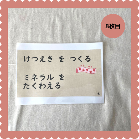 保育教材　骨ついてのお話　保育園での保健指導・健康教育　すぐに使える紙芝居形式　ラミネート加工済み　A4サイズ 9枚目の画像