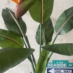 光触媒　人工観葉植物　ウォールグリーン　フェイク　アレンジ　ストレチア極楽鳥付き 5枚目の画像