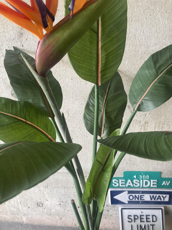 光触媒　人工観葉植物　ウォールグリーン　フェイク　アレンジ　ストレチア極楽鳥付き 5枚目の画像