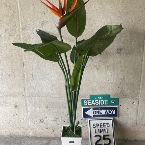 光触媒人工観葉植物ウォールグリーンフェイクグリーンストレチア極楽鳥