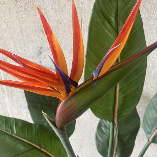 光触媒 人工観葉植物 ウォールグリーン フェイク アレンジ ストレチア 