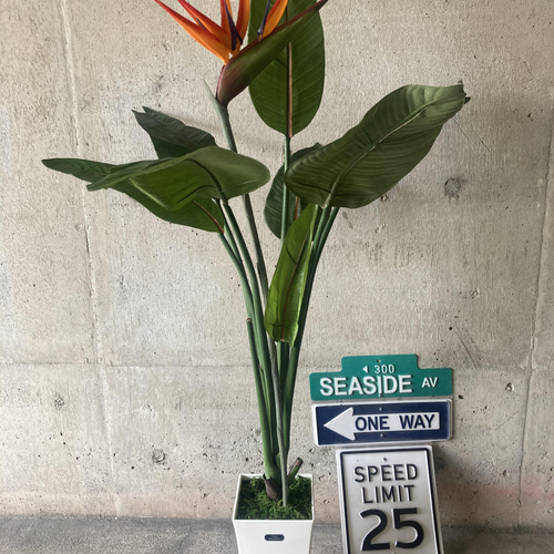 光触媒 人工観葉植物 ウォールグリーン フェイクグリーン ストレチア