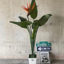 光触媒　人工観葉植物　ウォールグリーン　フェイク　アレンジ　ストレチア極楽鳥付き 3枚目の画像