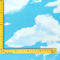 オックス生地【50×110cm】 青い空 青空 雲 晴れ 外 風景 背景 模様替え 生地 布 ブルー 水色 3枚目の画像