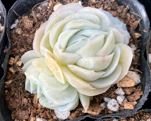 1c873fa5f6025c97a9613230601ebd