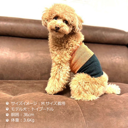 シルクメランジ ワンちゃん(超/小型犬)用 ロングタイプ腹巻き 2色切替  S/Mサイズ 6枚目の画像