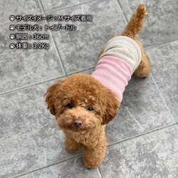 シルクメランジ ワンちゃん(超/小型犬)用 ロングタイプ腹巻き 2色切替  S/Mサイズ 4枚目の画像