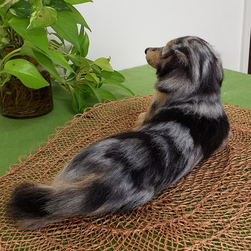 オーダー羊毛フェルト犬 メモリアル 想い出を形に♥️ オーダー