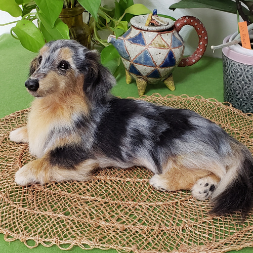 オーダー羊毛フェルト犬 メモリアル 想い出を形に♥️ オーダー