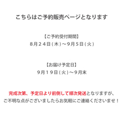 【預約/9月下旬發貨】【Kyorome毛皮】想要展示給大家/高級、輕薄、優雅的迷你單肩包 第2張的照片
