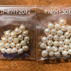 いびつな天然パール　天然真珠　オフホワイト＆イエローホワイト 50粒 1枚目の画像