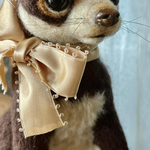 ame様専用 羊毛フェルト 犬 チワワ チョコタンちゃん - メルカリ