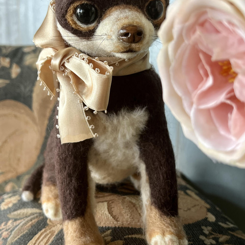 ame様専用 羊毛フェルト 犬 チワワ チョコタンちゃん - メルカリ