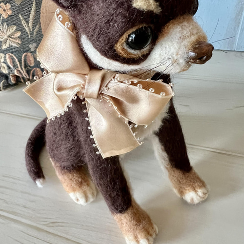 チワワ/チョコタンスムースチワワお人形 羊毛フェルト Sugar Maple