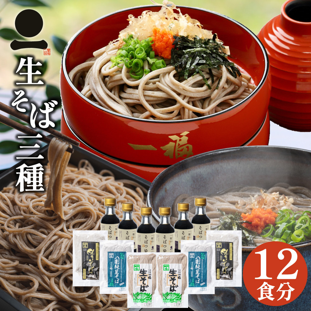 出雲そば 12食分 ギフト【3つの味生そば詰合せ】つゆ付 内祝 お取り寄せ グルメ 贈答用 年越し お歳暮 0681