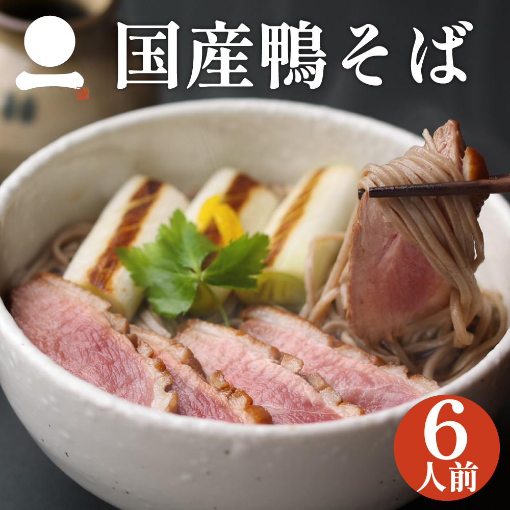 ギフト プレゼント 出雲そば 6人前【国産鴨そば】 鴨南蛮 鴨せいろ お取り寄せ グルメ 0651