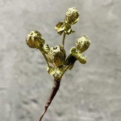 プリザーブド&ドライフラワーの髪飾り♥️アンティークゴールドかすみ草付 かすみ草/ゴールド 髪飾り(プリザーブドフラワー) その他素材 CHAIN