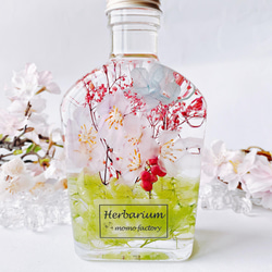 春を告げる桜のハーバリウム　pastel  フラワーギフト 1枚目の画像