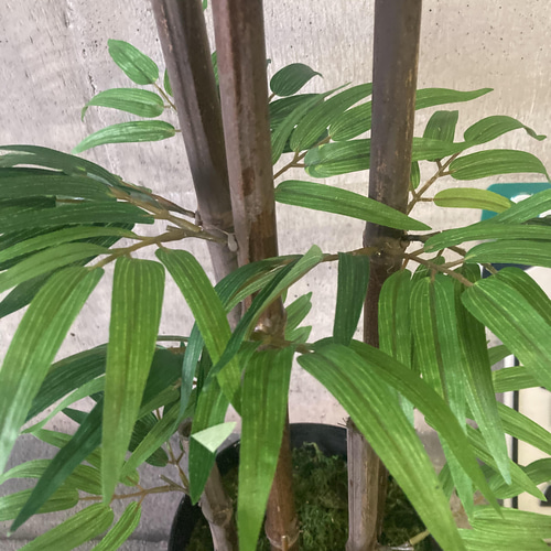 光触媒 人工観葉植物 ウォールグリーン フェイク アレンジ 黒竹105