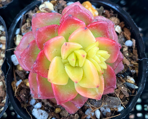 02682c0957062b2b1459e743e2e5a3