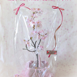桜 ～ 薄紅色の満開桜（中）まるで本物の桜の様な桜インテリア・ガラス器と透明ジェルの桜フラワーインテリア・無料ラッピング 7枚目の画像