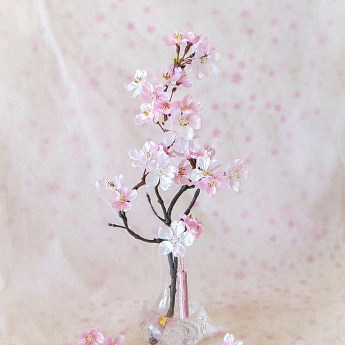桜 ～日本の春・ 薄紅色の満開桜（中）まるで本物の桜の様な桜