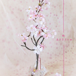 桜 ～ 薄紅色の満開桜（中）まるで本物の桜の様な桜インテリア・ガラス器と透明ジェルの桜フラワーインテリア・無料ラッピング 5枚目の画像