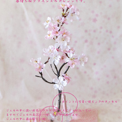 桜 ～ 薄紅色の満開桜（中）まるで本物の桜の様な桜インテリア・ガラス器と透明ジェルの桜フラワーインテリア・無料ラッピング 4枚目の画像