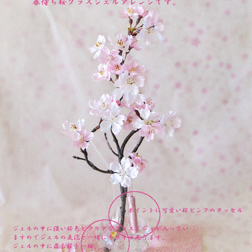 桜 ～日本の春・ 薄紅色の満開桜（中）まるで本物の桜の様な桜