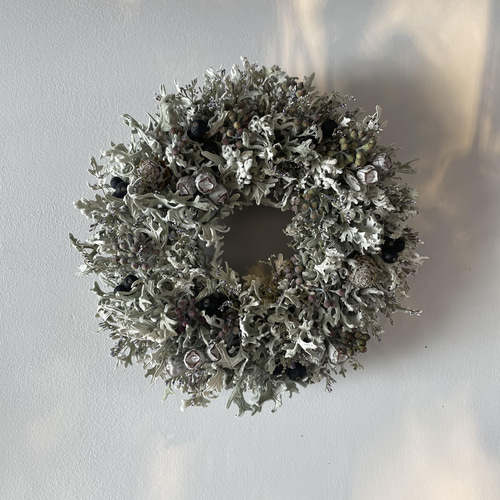 ナンキンハゼとダスティーミラーのリース ナンキンハゼとダスティーミラーのリース ナンキンハゼとダスティー