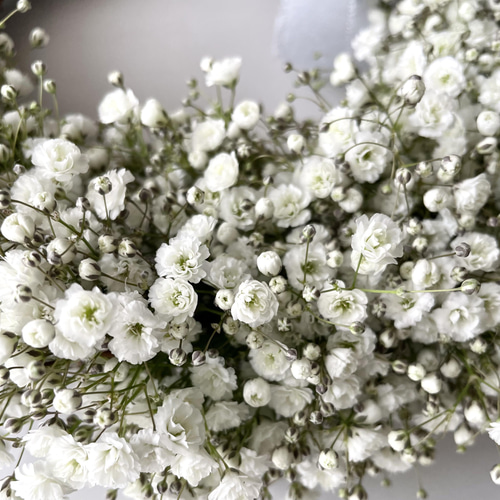 1.かすみ草ハーフリース かすみ草のハーフリース リース MILLE FLEUR 通販 13324237｜Creema