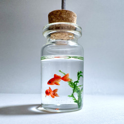 硝子の小瓶で泳ぐ金魚　メモスタンド 6枚目の画像
