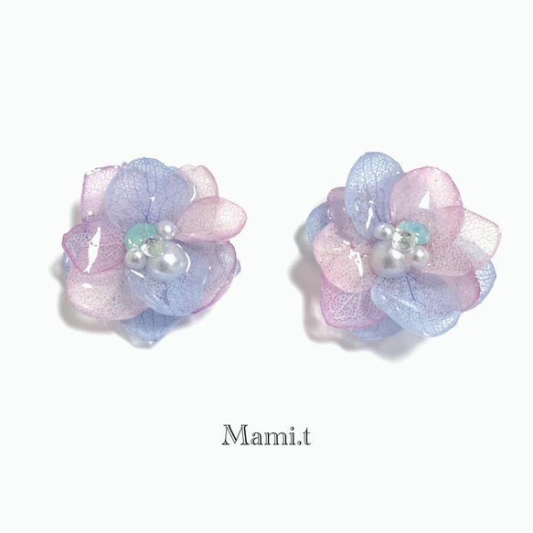 《Mami.t》  本物の紫陽花　イヤリング/ピアス 1枚目の画像