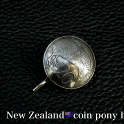 ＃P13 NewZealand Coin Pony Hook 2枚目の画像