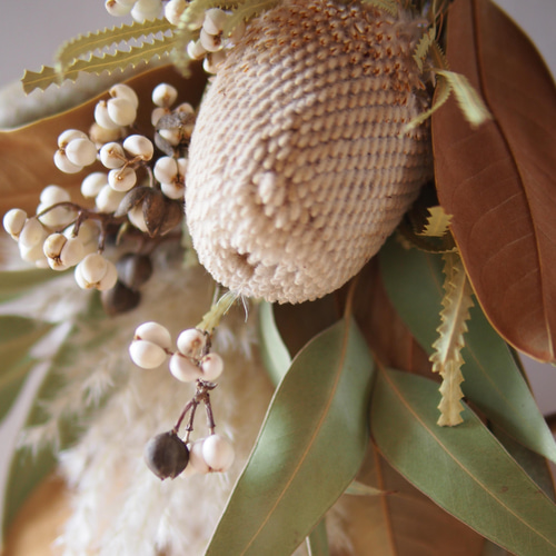 ドライフラワー バンクシアとキウイつるのスワッグ ドライフラワー
