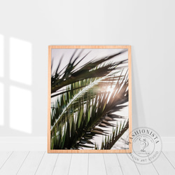 アートポスター トロピカルリーフ 自然光 ナチュラル シンプル 北欧風 リビング 玄関 寝室 おしゃれ 2枚セット 3枚目の画像