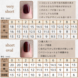 当ショップ購入者様専用　計測用チップ 2枚目の画像