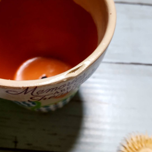 送料無料☆3号鉢2.5号鉢♡2個セット ♡リメイク鉢♡多肉植物♡ガーデン