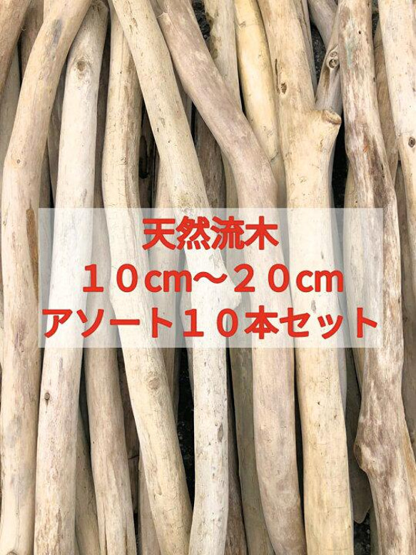 送料無料●南信州アルプス天然流木 枝流木 １０本 格安アソートまとめ売り販売 １０センチ以上、２０センチ未満 1枚目の画像