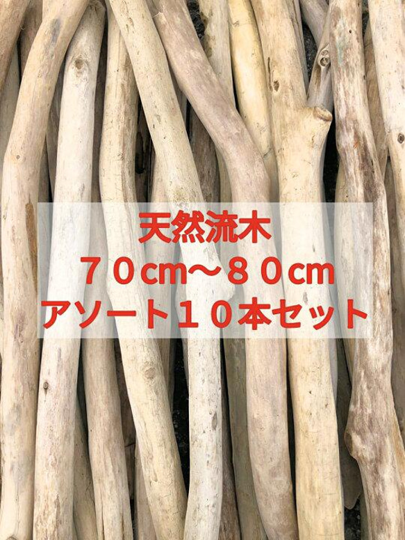 送料無料●南信州アルプス天然流木 枝流木 １０本 格安アソートまとめ売り販売 ７０センチ以上、８０センチ未満 1枚目の画像