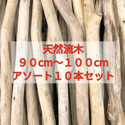 送料無料●南信州アルプス天然流木 枝流木 １０本 格安アソートまとめ売り販売 ９０センチ以上、１００センチ未満 1枚目の画像