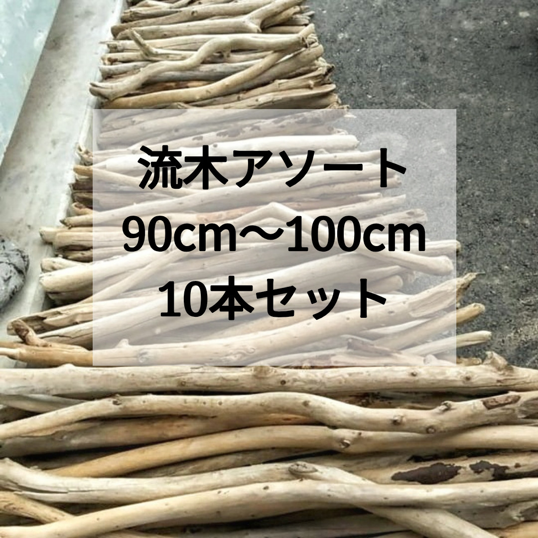 【送料無料】まがり屋流木 南信州産 天然枝流木 10本セット（90〜100cm）1m流木｜マクラメ 流木ツリー