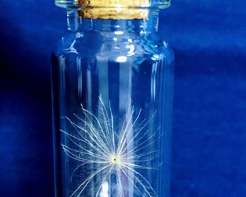 a006218dbc71364014eb2f36e184b9